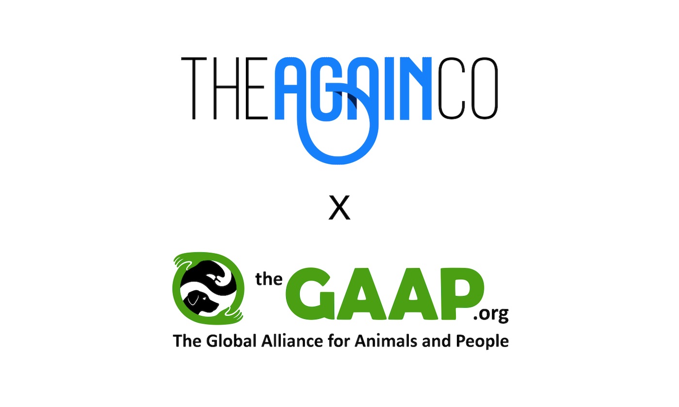 The Again Co x The GAAP